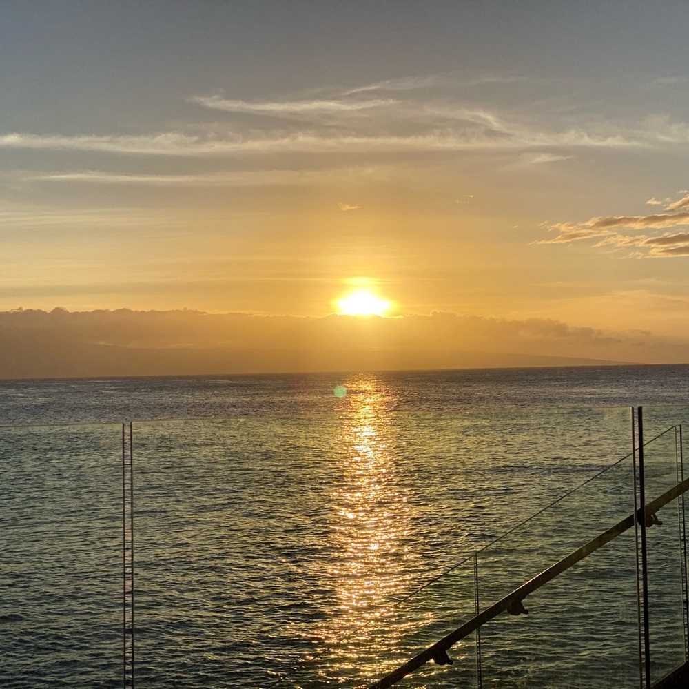 Meet your Posher, Perlie